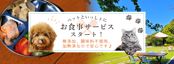 販売 和歌山 ペットと泊まれる すさみ